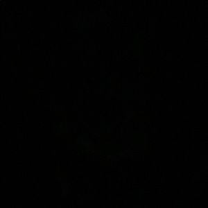 Meet your Posher, Chloe